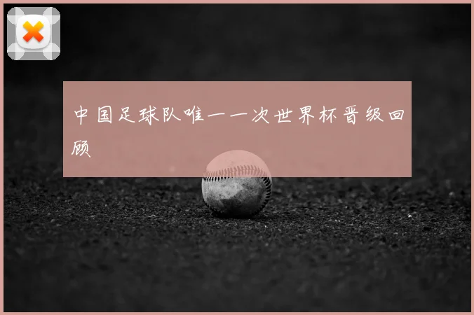 中国足球队唯一一次世界杯晋级回顾
