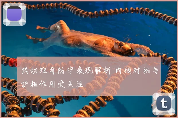 武切维奇防守表现解析 内线对抗与护框作用受关注