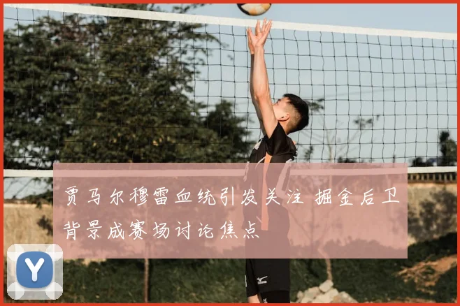 贾马尔穆雷血统引发关注 掘金后卫背景成赛场讨论焦点